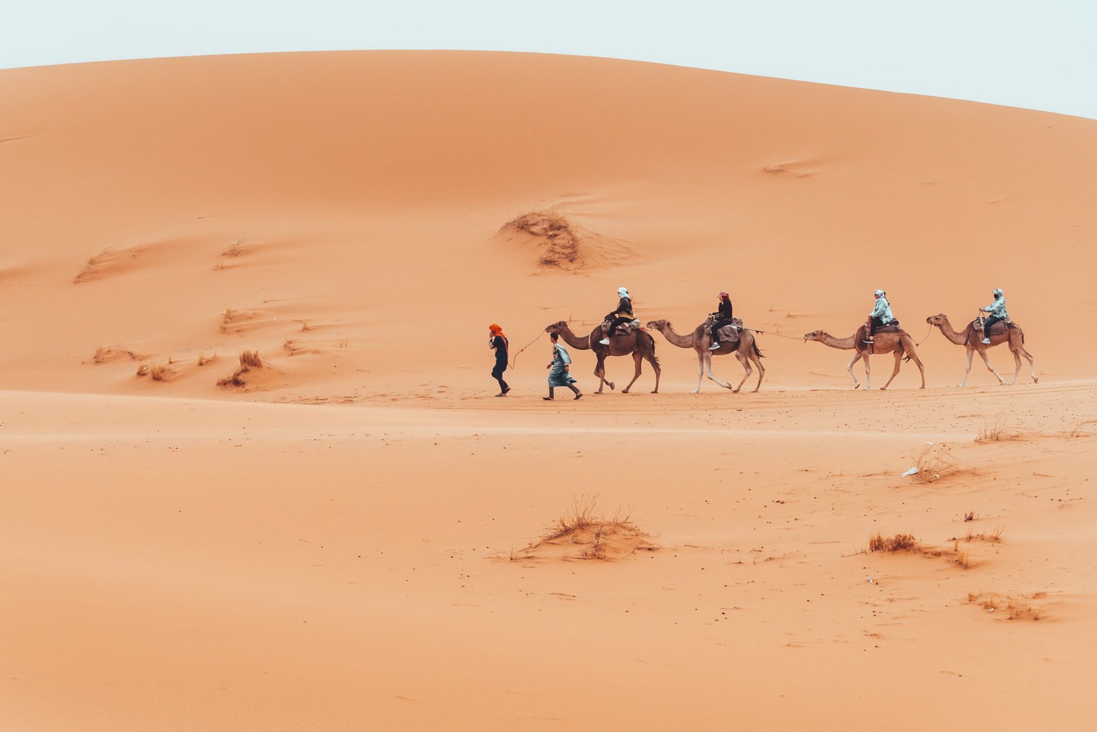 Camel trek with tourists through the sahara desert in Merzouga, Morocco. High quality photo
