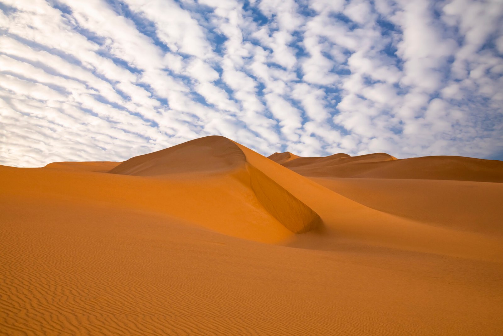 Sunset over the sand dunes in the desert. Arid landscape of the Sahara desert