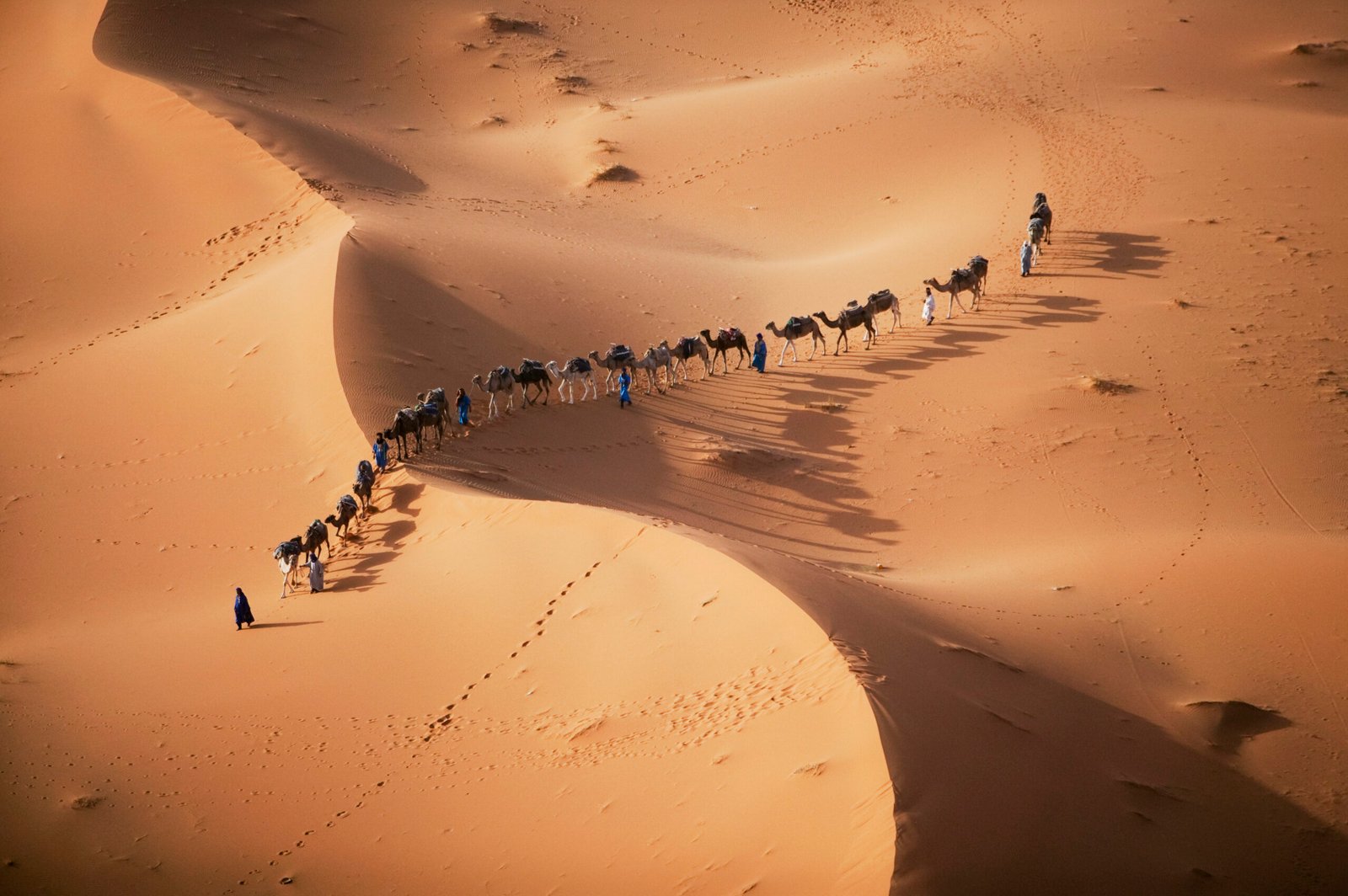 The setting sun over the desert makes a enchanting shadow as a caravan of camel merchants winds their way toward the next stop on their journey.